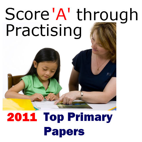 Free exam papers for primary school 2012